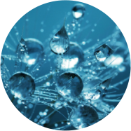 法國水晶高光肽